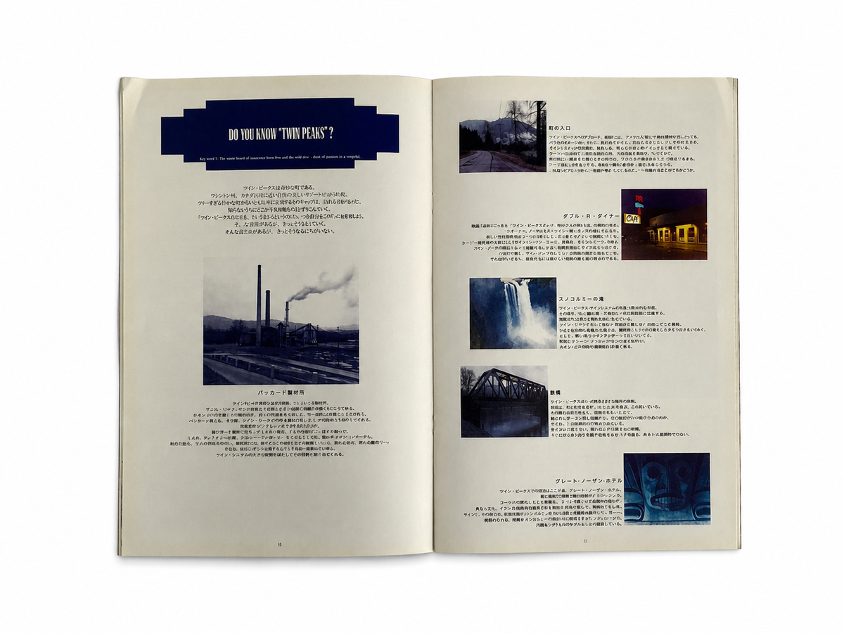 David Lynch: Twin Peaks Fire Walk with Me