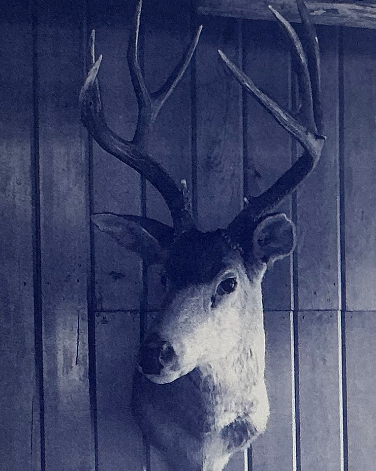 David Lynch: Twin Peaks Fire Walk with Me
