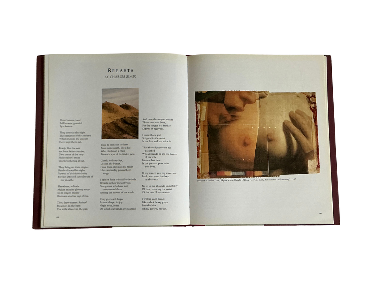 Francine Prose: Master Breasts