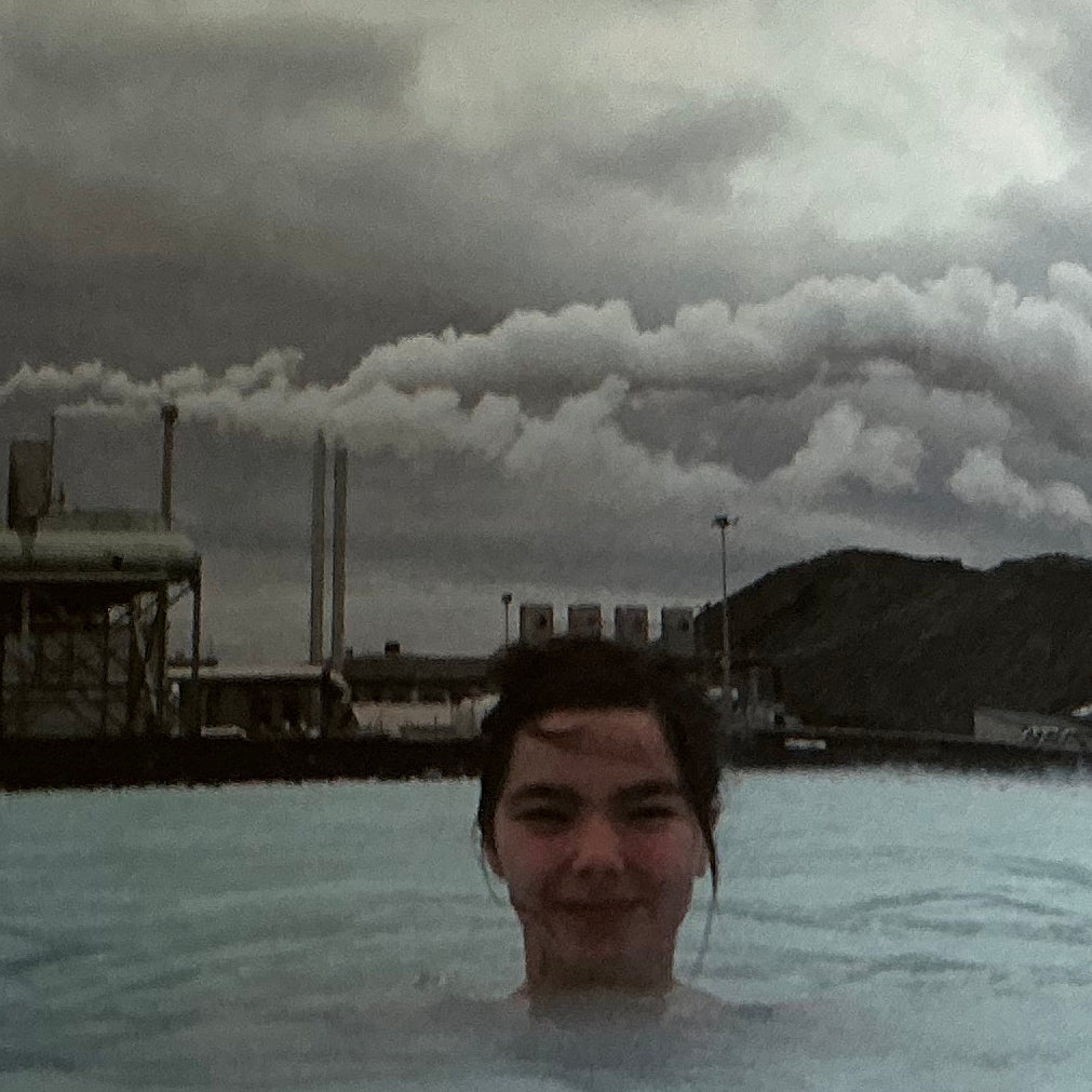 M/M (Paris): Björk