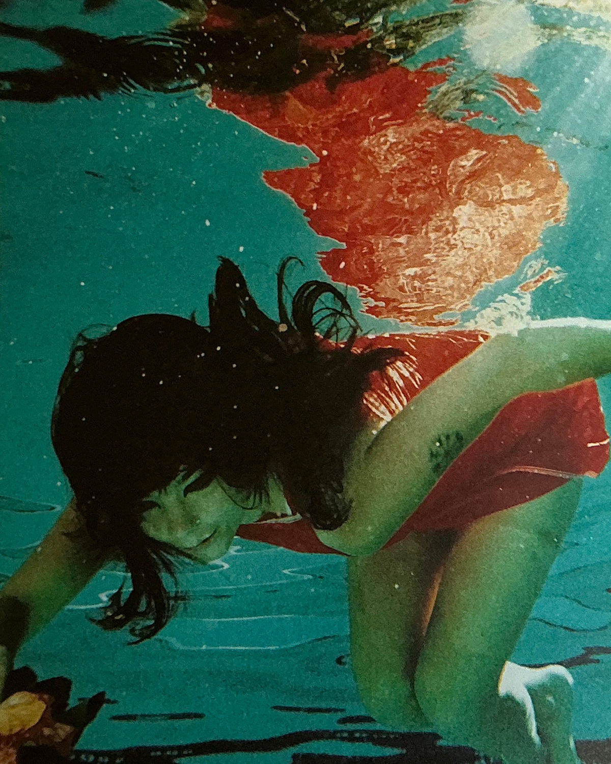 M/M (Paris): Björk