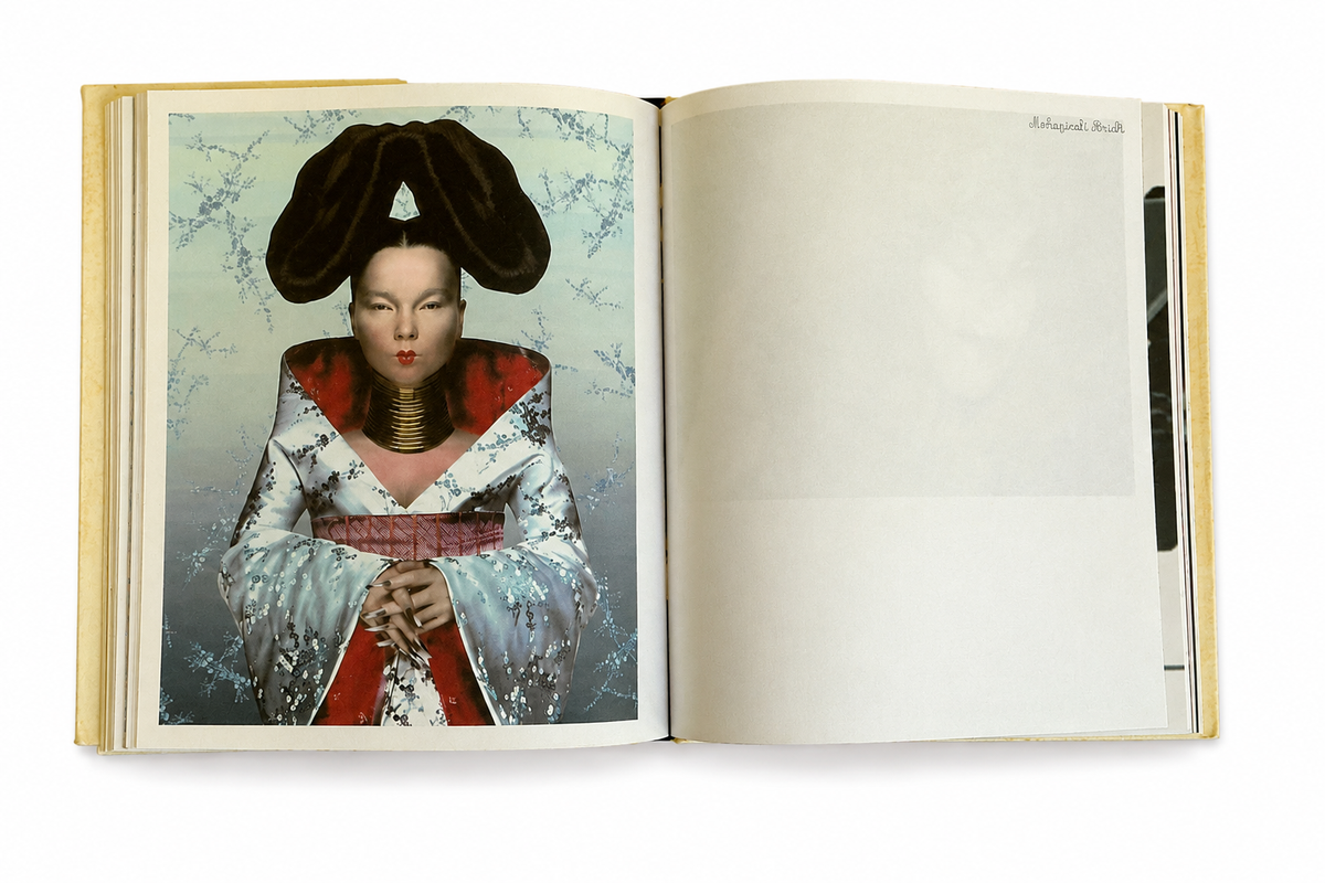 M/M (Paris): Björk
