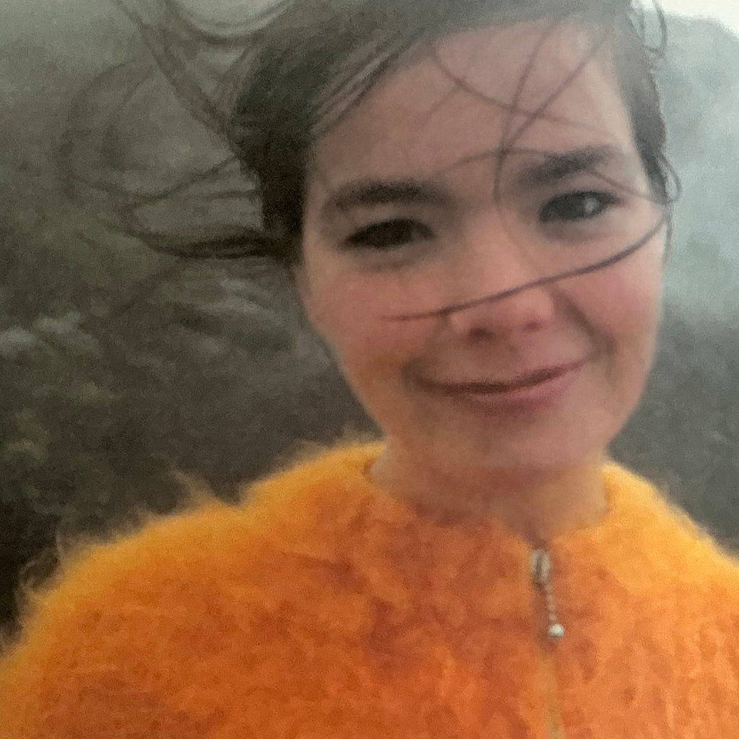 M/M (Paris): Björk