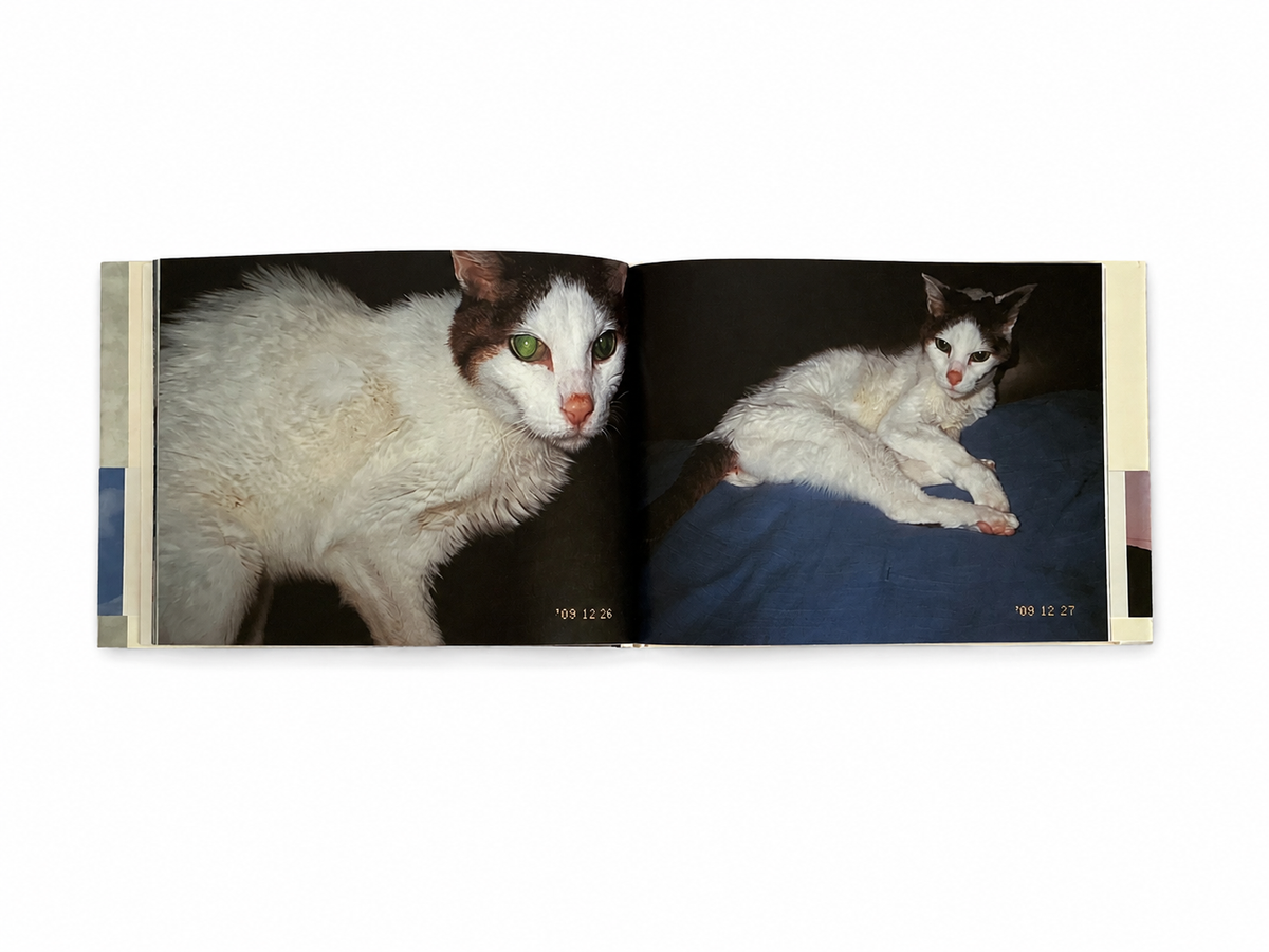 Nobuyoshi Araki: Chiro Ai-Shi